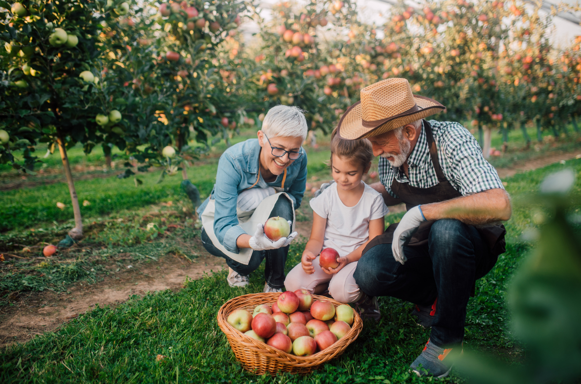 Il fattore tempo come “superpotere” della previdenza complementare.