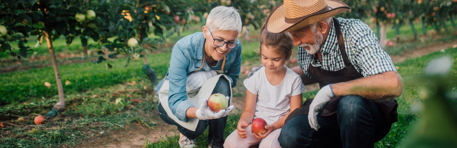 Destinazione Futuro - Fondo Pensione Aperto by Credemvita 